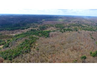 Property photo 46 - LAND AUCTION - 2,596+/- ACRES IN 28 TRACTS IN COSHOCTON & MUSKINGUM COUNTIES, OHIO